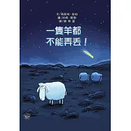 一隻羊都不能弄丟!