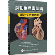 解剖生理學圖譜：模型vs.大體圖解