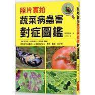 照片實拍 蔬菜病蟲害對症圖鑑：田間常見病蟲害110個案例的症狀、原因、對策一目了然