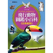 飛行動物圖鑑小百科《鳥類動物》