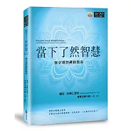 當下了然智慧：無分別智禪修指南