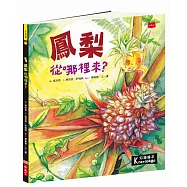 食物大發現：鳳梨從哪裡來?