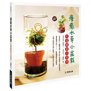 療癒水草小盆栽 打造綠意小世界