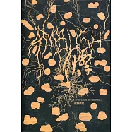 伏擊：倪灝個展[精裝]