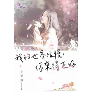 我的世界很慢，你來得正好