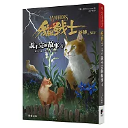 貓戰士外傳之十四：說不完的故事4