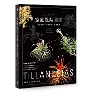 空氣鳳梨圖鑑：魅力品種x玩賞栽培x佈置應用
