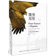 鷹飛基隆：台灣最美的四季賞鷹秘境