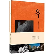 界：台灣當代攝影