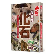 奇形怪狀的化石：猜猜它來自哪隻恐龍或其他古生物?