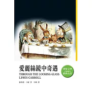 愛麗絲鏡中奇遇