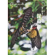 墾丁國家公園的昆蟲