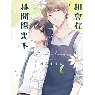 相會在林間陽光下 全