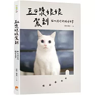 豆漿娘娘駕到【愛藏版】：貓奴阿晧的跪安日常。隨書附贈「喵界林志玲超可愛貼紙」，讓豆漿娘娘天天陪著你!