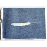 認同的例外：他們的飛行紀事(真空包裝+黑∕白羽毛二款，隨機出貨)