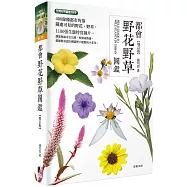 都會野花野草圖鑑(增訂版)