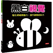黑白視覺