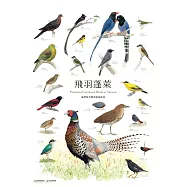 臺灣野生動物手繪海報(1套8張)