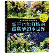 中小型水族箱造景趣：新手也能打造的療癒夢幻水世界