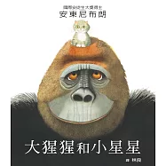 大猩猩和小星星