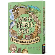 噢!原來你家住這裡：臺灣野生動物的呆萌宅宅日常