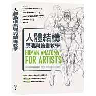 人體結構原理與繪畫教學