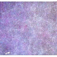 市民畫廊：築思構界-劉呈祥