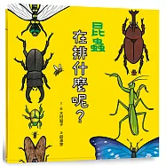 昆蟲在排什麼呢?(二版)