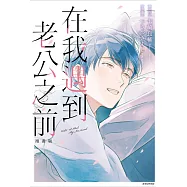 在我遇到老公之前 漫畫版