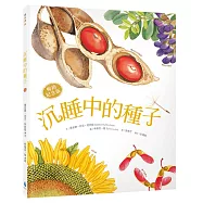 V沉睡中的種子【暢銷紀念版】(大自然繪本，符合108課綱+SDGs，科普知識與繪本藝術的完美結合)