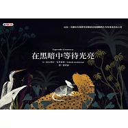 在黑暗中等待光亮