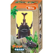 發條甲蟲：獨角仙