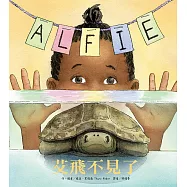 艾飛不見了(二版)