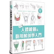 SAPPI的人體繪圖&藝用解剖學入門