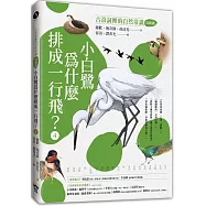 小白鷺為什麼排成一行飛?：古詩詞裡的自然常識4【鳥類篇】