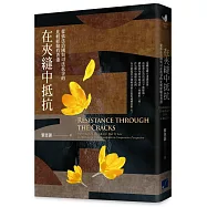 在夾縫中抵抗：從依法治國與司法抗爭的比較經驗看香港