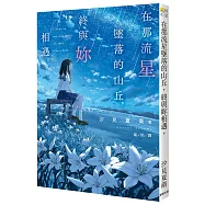 在那流星墜落的山丘，終與妳相遇。
