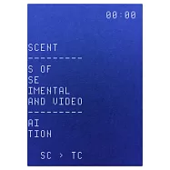童貞時代 中國實驗電影與錄像：The Adolescent: Traces of Chinese Experimental Film and Video