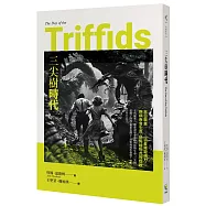 三尖樹時代