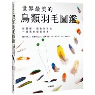 世界最美的鳥類羽毛圖鑑：從圖樣、顏色到形狀一窺鳥的絕美姿態