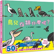 鳥兒在排什麼呢?