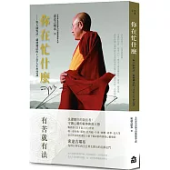 你在忙什麼?：與大師對話，藏傳佛法的12堂人生智慧課