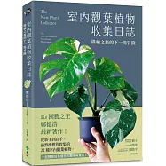 室內觀葉植物收集日誌：綠植之旅的下一場冒險