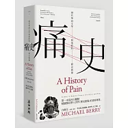 痛史──現代華語文學與電影的歷史創傷(新版)