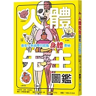 人體先生圖鑑【器官小老師帶你認識身體奧祕】