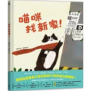 喵咪找新家!