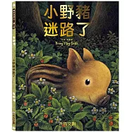 小野豬迷路了
