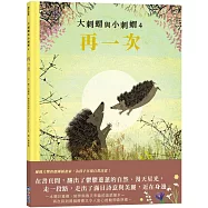 大刺蝟與小刺蝟4：再一次