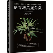 培育絕美鹿角蕨：進階栽培×配置設計，兼顧收藏與裝飾的綠植美學