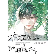 枝葉篩過的斑斕陽光下 1